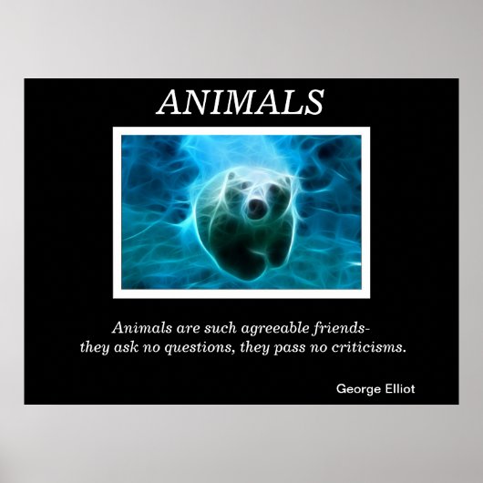 Tierposter 32 poster (Vorne)