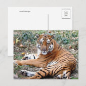 TierPostkarte Postkarte (Vorne/Hinten)