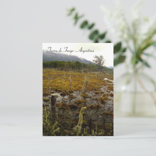Tierra del Fuego - Argentinien Postkarte (Stehend Vorderseite)