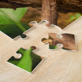 Tierrätsel Ein Tierpuzzles Lizard Puzzles (Seite)