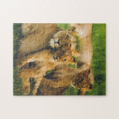 Tierrätsel Mutter und Baby Animal Lion Fotogr Puzzle (Horizontal)