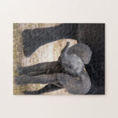 Tierrätsel Mutter und Tier Elefant Pho Puzzle (Horizontal)