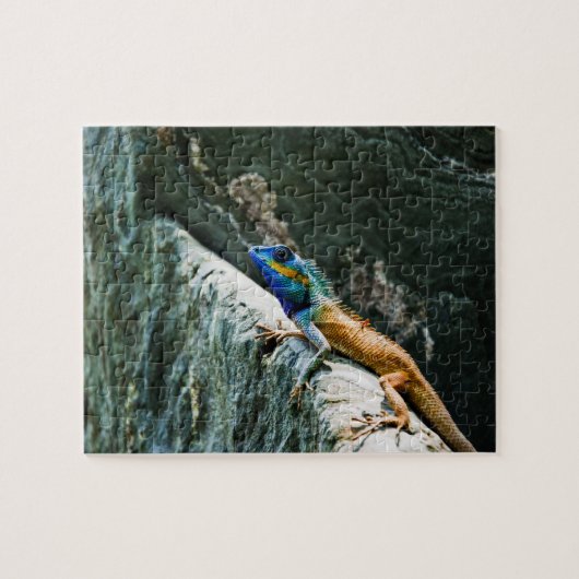 Tierrätsel Puzzle (Horizontal)