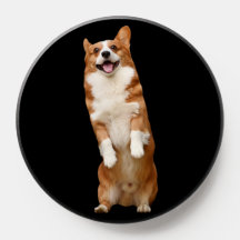Tierreich - Phantastisches Niedliches Corgi