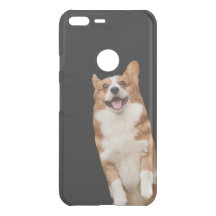 Tierreich - Phantastisches Niedliches Corgi