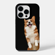 Tierreich - Toller Süßer Corgi