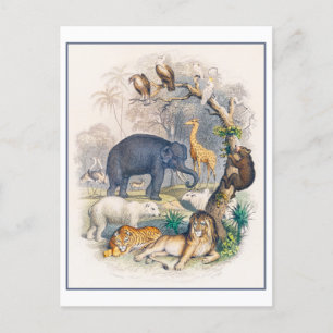 Tierreich Vintage Illustration Postkarte