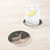 Tierreihe - Hirsche Untersetzer (Seite)