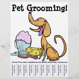 Tierreinigung! Flyer