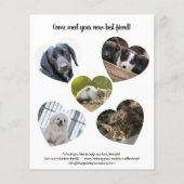 Tierrettungs-Bäckerverkaufs-Fundraiser Flyer (Hinten)