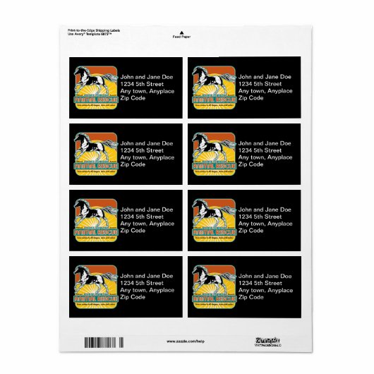 Tierrettungspferd (Vorne)