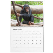 TierSäuglinge 001 Kalender (Feb 2027)