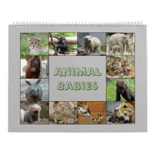 TierSäuglinge 001 Kalender