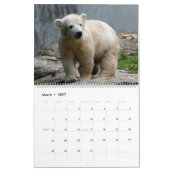 TierSäuglinge 001 Kalender (Mär 2027)