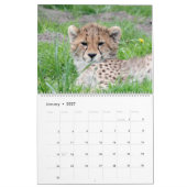 TierSäuglinge 001 Kalender (Jan 2027)