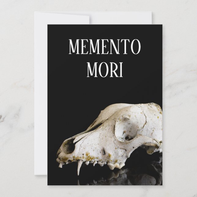 Tierschädel (Vorderseite)