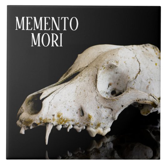 Tierschädel Fliese (Vorderseite)