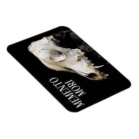 Tierschädel Magnet (Rechte Seite)