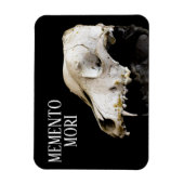 Tierschädel Magnet (Vertikal)