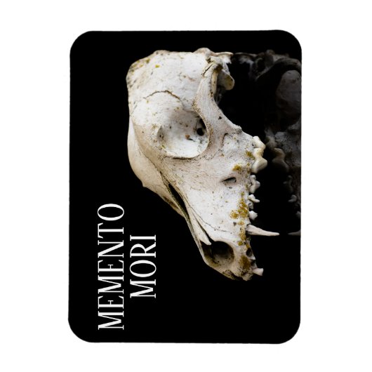 Tierschädel Magnet (Vertikal)