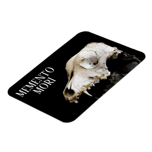 Tierschädel Magnet (Linke Seite)
