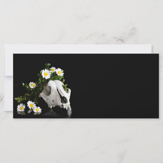 Tierschädel mit einem Kranz wild lebender Blume (Vorderseite)