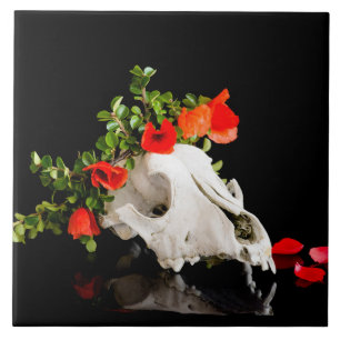 Tierschädel mit einem Kranz wild lebender Blume Fliese