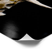 Tierschädel Poster (Ecke)