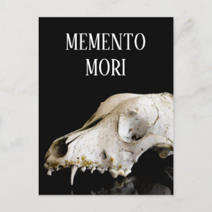 Tierschädel Postkarte