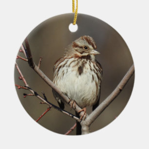 Tierschmuck, Singammer, Vögel, Natur Keramik Ornament