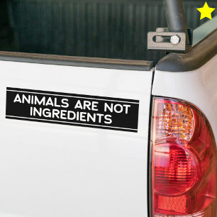 Tierschutz-Phrase Vegan Vegetarisch Sprüche Autoaufkleber