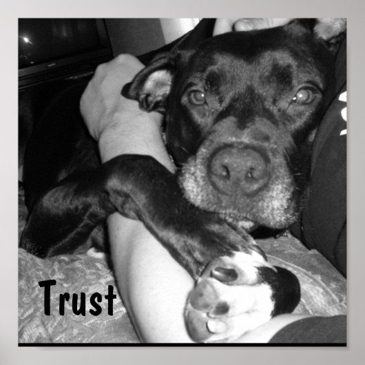 Tierschutz Poster (Vorne)