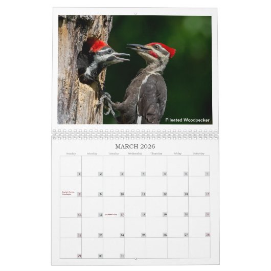 Tierschutzkalender 2024 von Kevin Harris Kalender (Mär 2026)