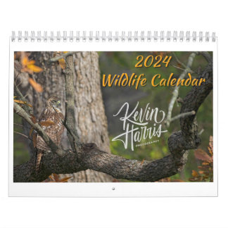 Tierschutzkalender 2024 von Kevin Harris Kalender