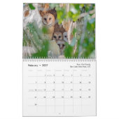 Tierschutzkalender 2025 kalender (Feb 2027)