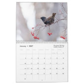 Tierschutzkalender 2025 kalender (Jan 2027)