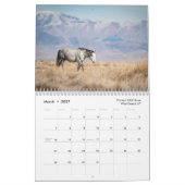 Tierschutzkalender 2025 kalender (Mär 2027)