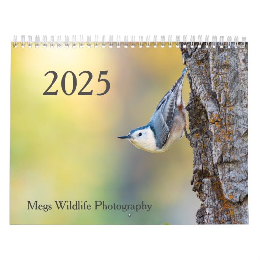 Tierschutzkalender 2025 kalender (Titelbild)