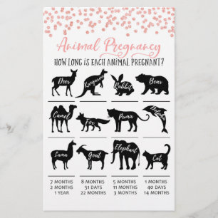Tierschwangerschaft mit Answers Baby Showgame