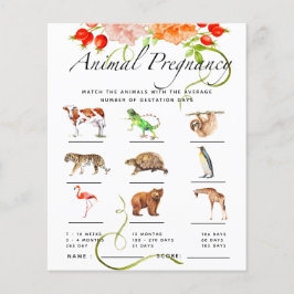 Tierschwangerschaft Pumpkin Baby Duschspiel