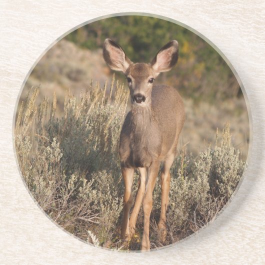 Tierserie - Mule Deer Fawn Untersetzer (Vorne)