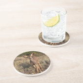 Tierserie - Mule Deer Fawn Untersetzer (Seite)