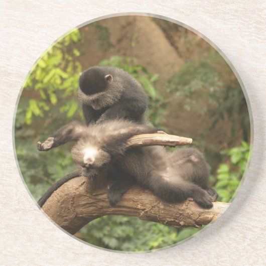 Tierserien - Affen sucht Fleas Getränkeuntersetzer (Vorne)