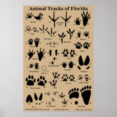 Tierspuren von Florida Poster (Vorne)