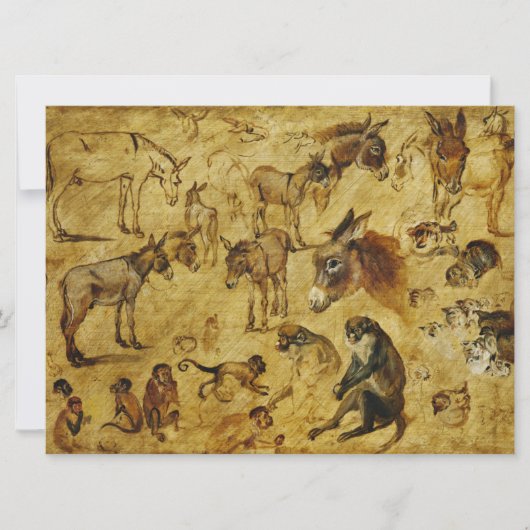 Tierstudien: Esel, Affen, Katzen und Hunde Karte (Vorderseite)