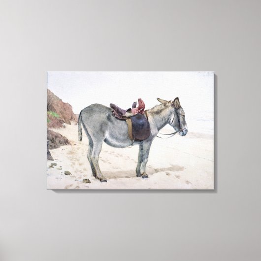 Tierstudien Leinwanddruck (Vorderseite)