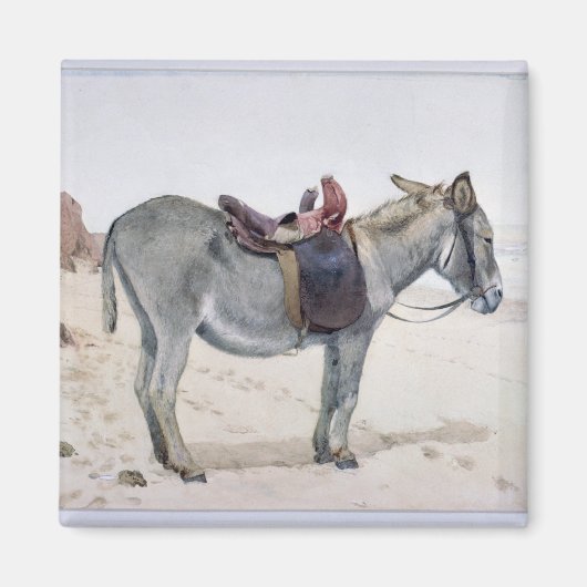 Tierstudien Magnet (Vorne)
