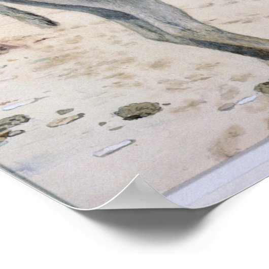 Tierstudien Poster (Ecke)