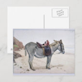 Tierstudien Postkarte (Vorne/Hinten)