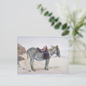 Tierstudien Postkarte (Stehend Vorderseite)